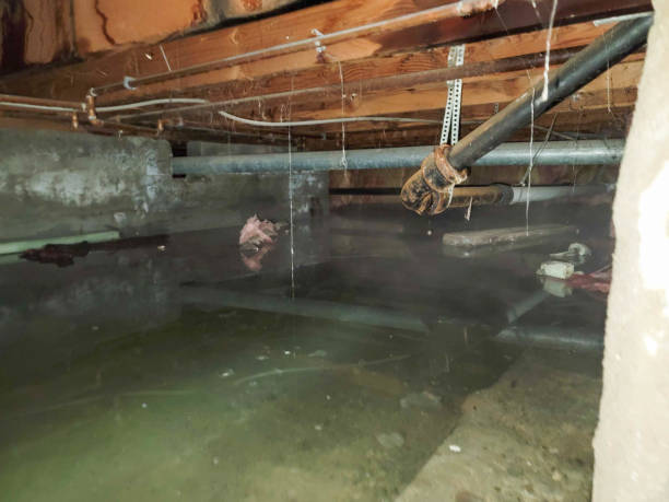 Best Mold removal after water damage  in Oriska, NY