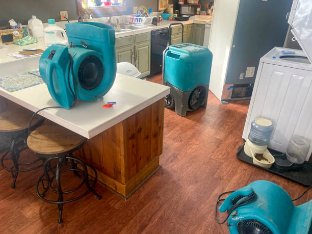 Best Carpet water damage restoration  in Oriska, NY
