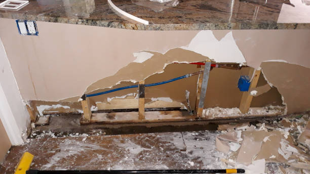 Best Professional water damage repair  in Oriska, NY