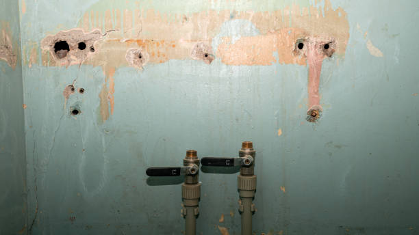 Best Mold removal after water damage  in Oriska, NY