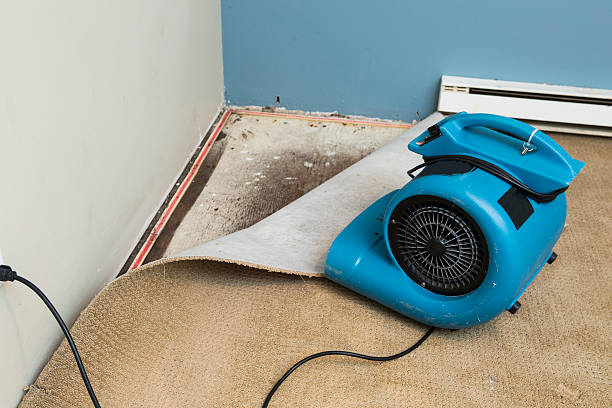 Best Flood restoration services  in Oriska, NY
